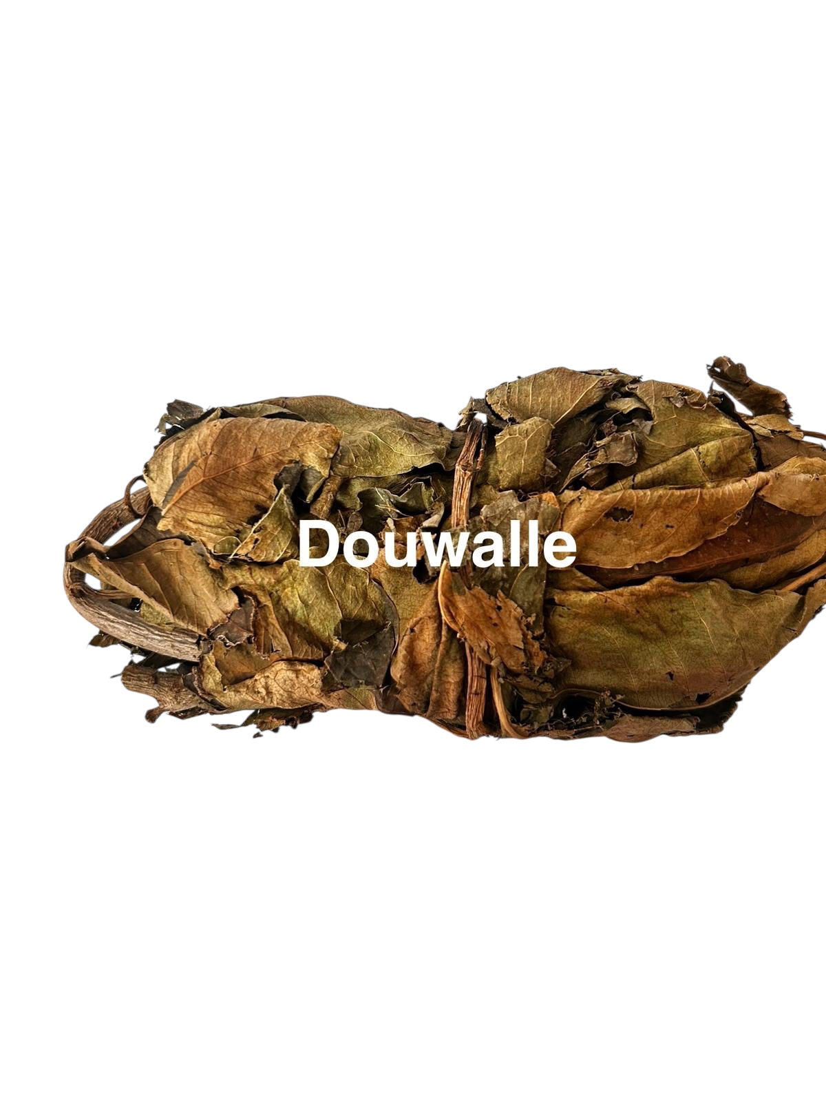 Plante Douwalle_2