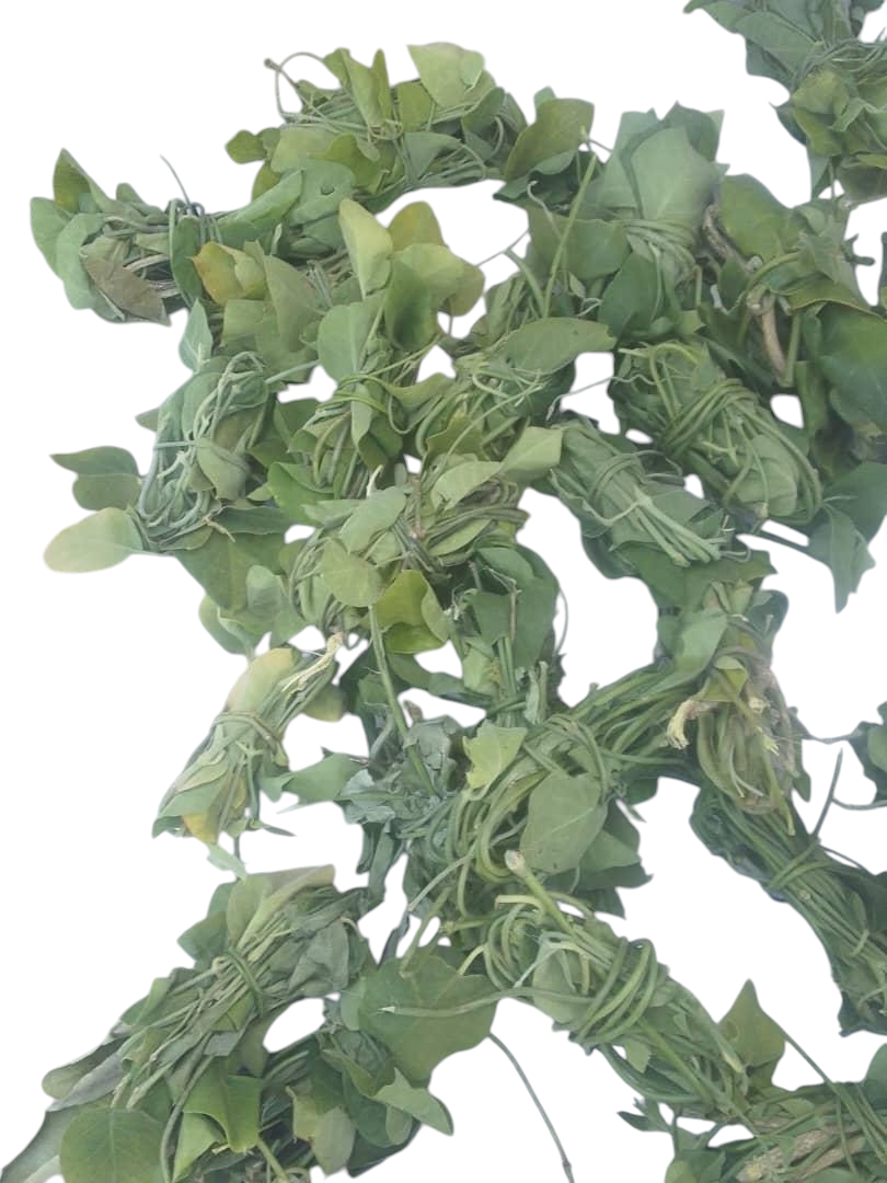 Plante de Chôwiet ou Zôhnwient 38