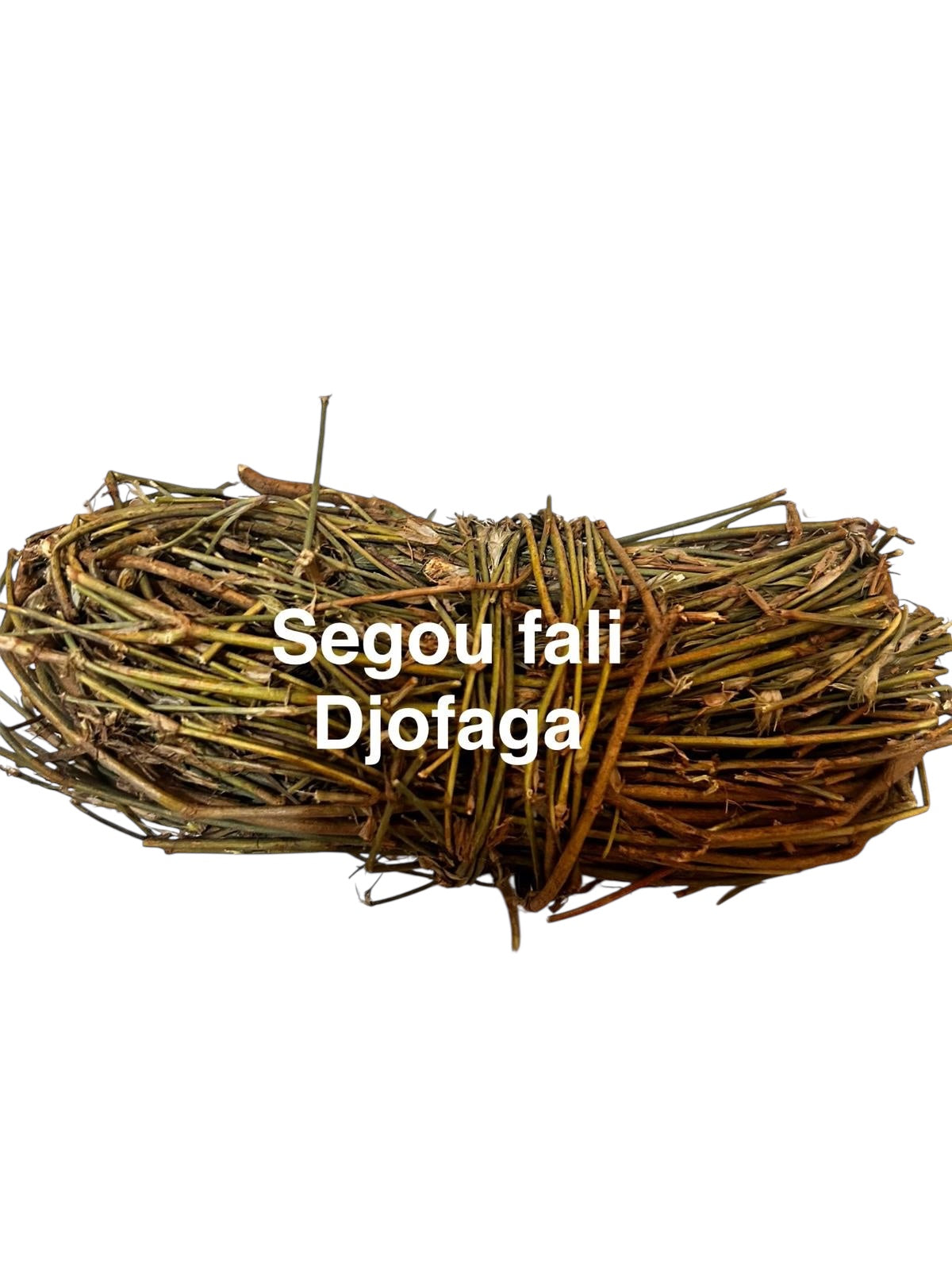 Plante de Sekoufali/Djofaga/Moritabas_37