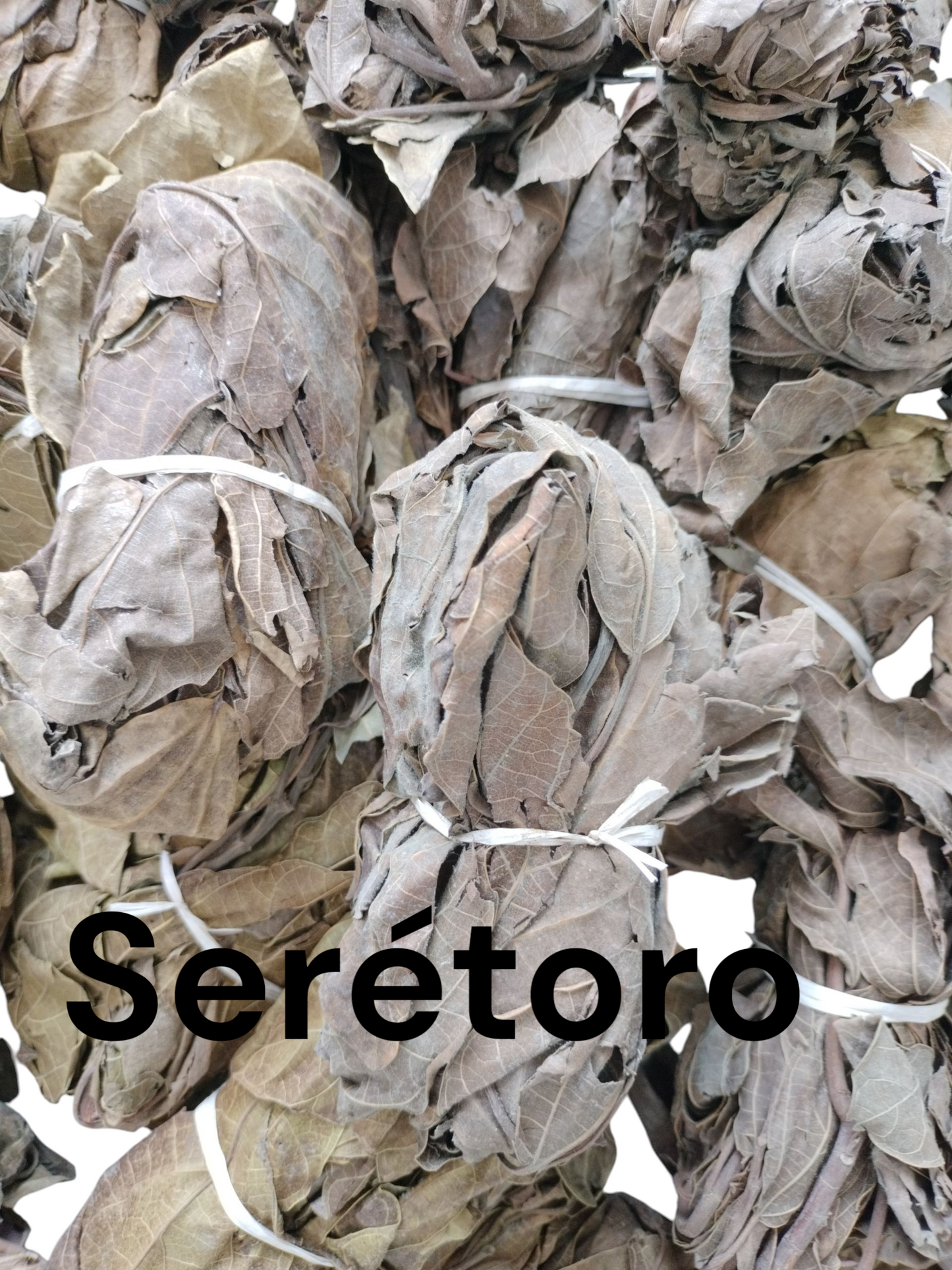 Plante sérétoro