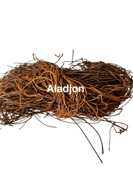 Plante Aladjon _1