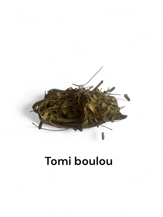 Plante Tomi boulou-32