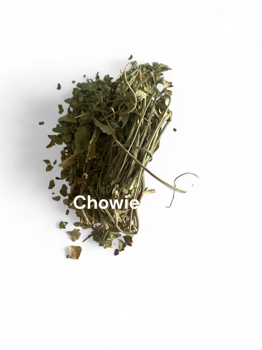 Plante Chowie/Zônwient_38