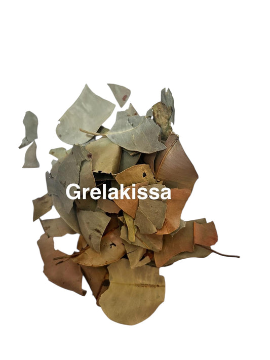 Plante Grelakissa 49