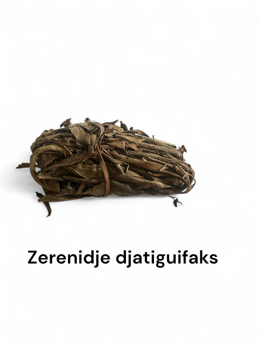 Plante Zerenidje diatiguifaka-51