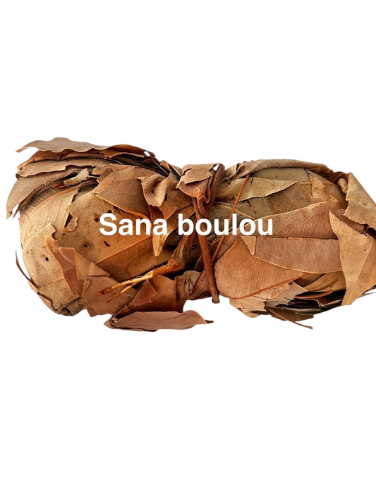 Plante Sana boulou 4_5