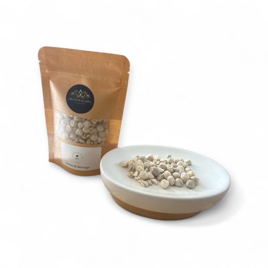 Graines de Moringa – L’arbre de vie