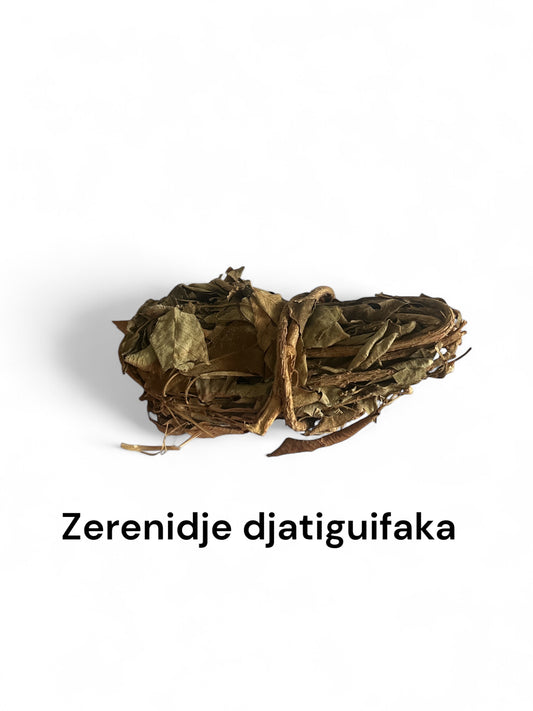 Plante Zerenidje djatiguifaka 42