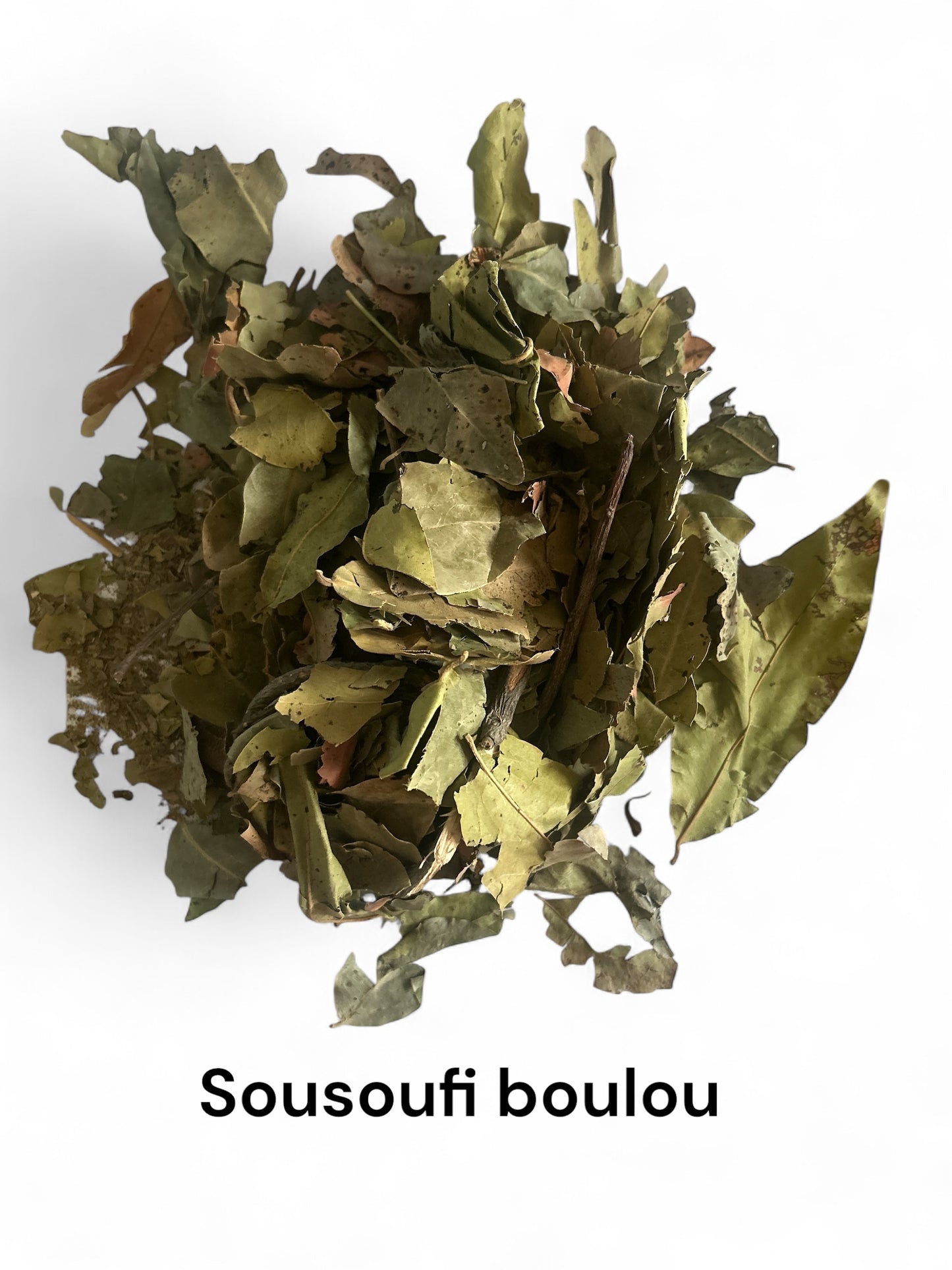Plante Sousoufi boulou