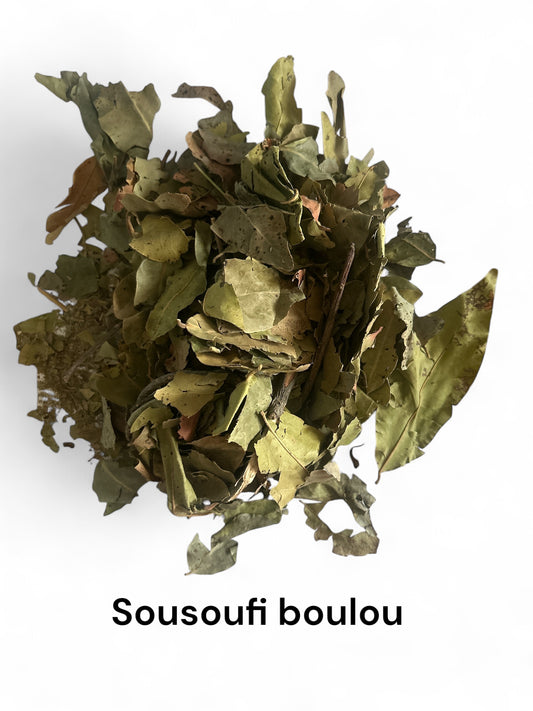 Plante Sousoufi boulou