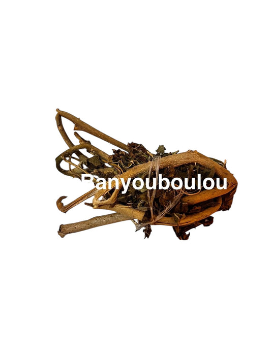 Plante Bagôhyôh_60/61/62