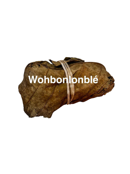 Plante Wohbonlonblé 36