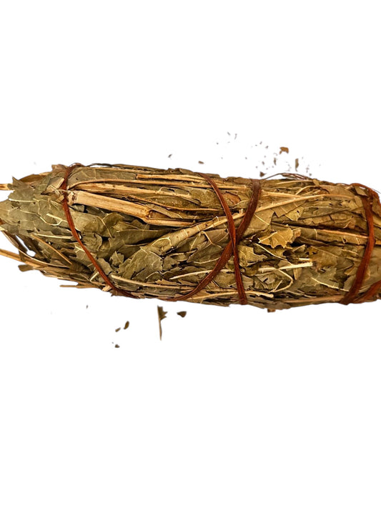 Plante Coumouba boulou
