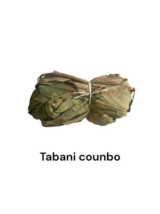 Plante Tabani counba-16