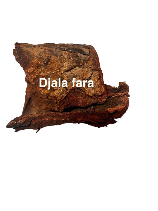 Plante Djala _35
