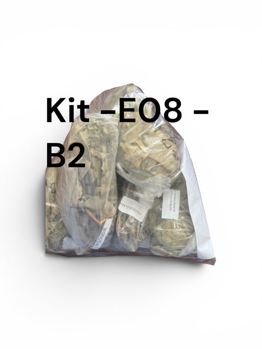 kit E08-B2 de plantes traditionnelles -vitalité &Bien-être