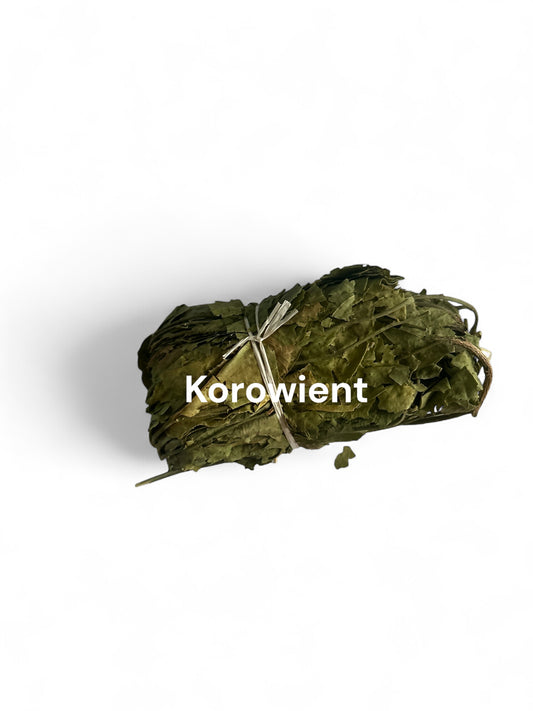 Plante de Korowient 9