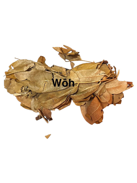 Plante Woh 36