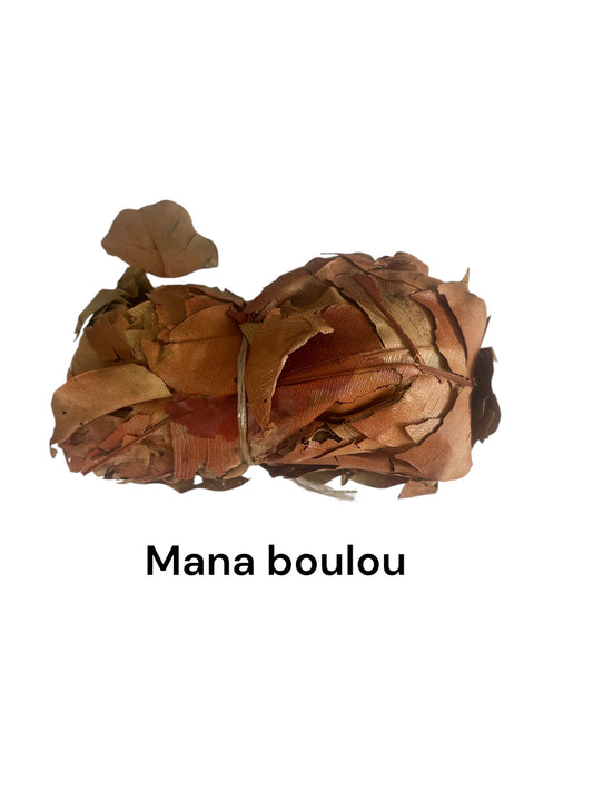Plante Mana boulou12