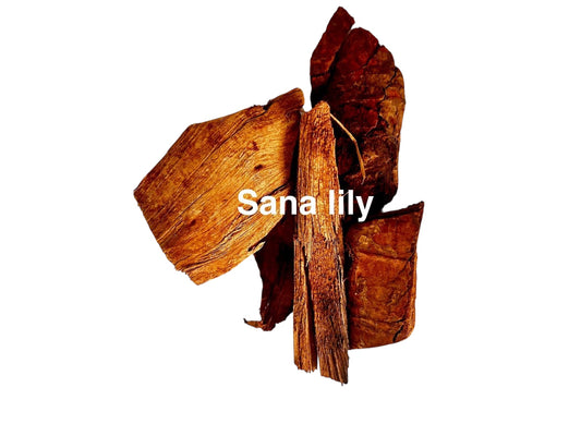 Plante Sana lily_5
