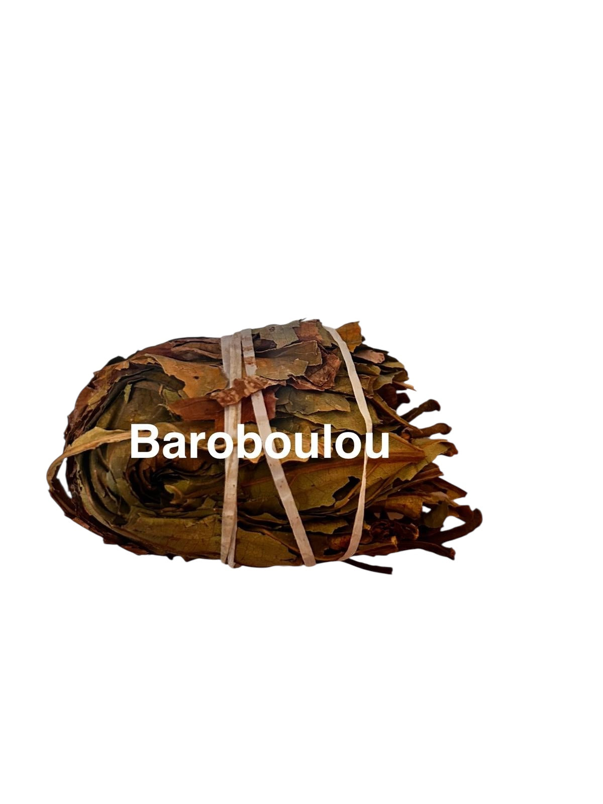 Plante Baro 29