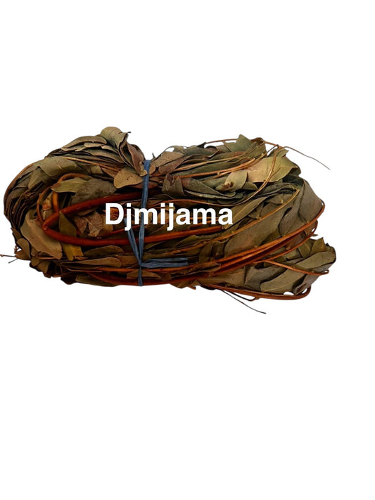 Plante Djmijama__27