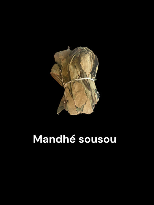 Plante Mandhé soousou/N’Thankan-20
