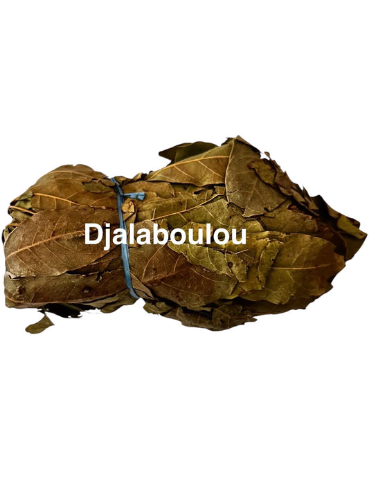 Plante Djala_34 et 34A_34B