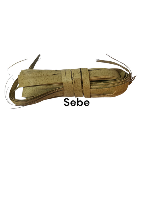 Plante Sebe_96