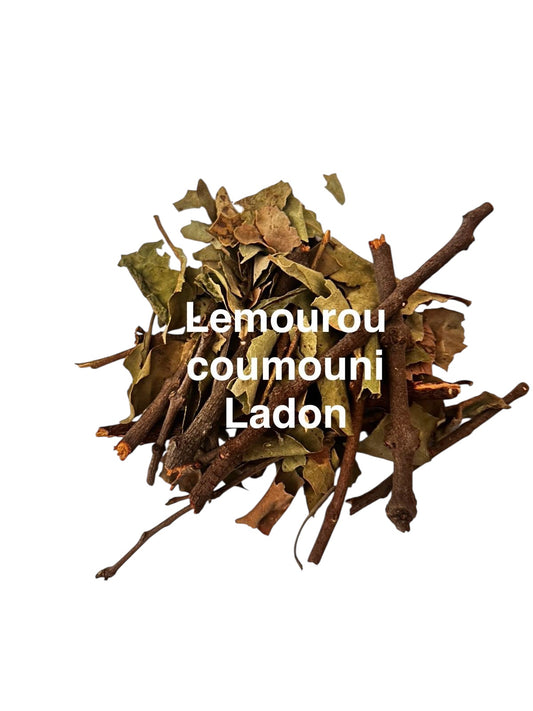 Plante Lemourou
coumouni
Ladon 73