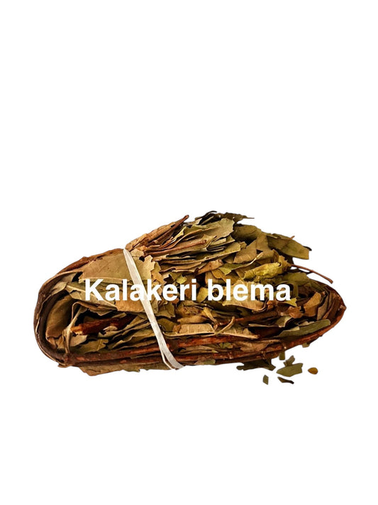 Plante Kalakeri blema 47