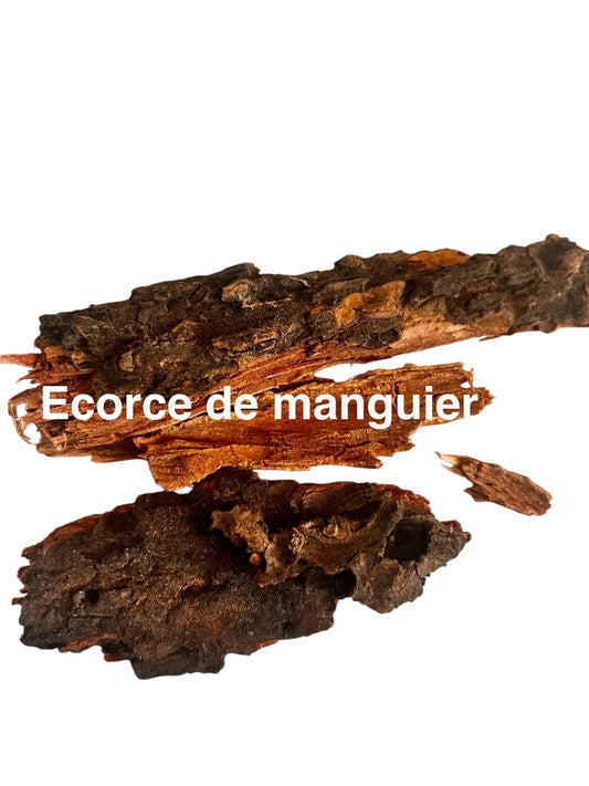 Écorce de manguier