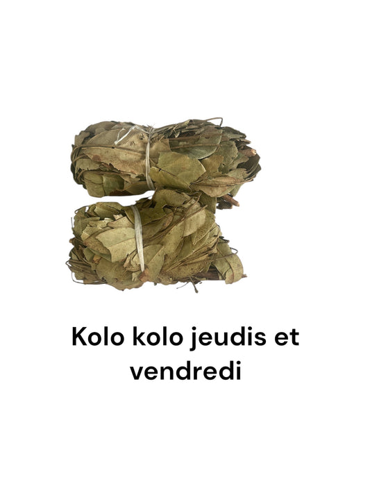 Plante de kolokolo 13