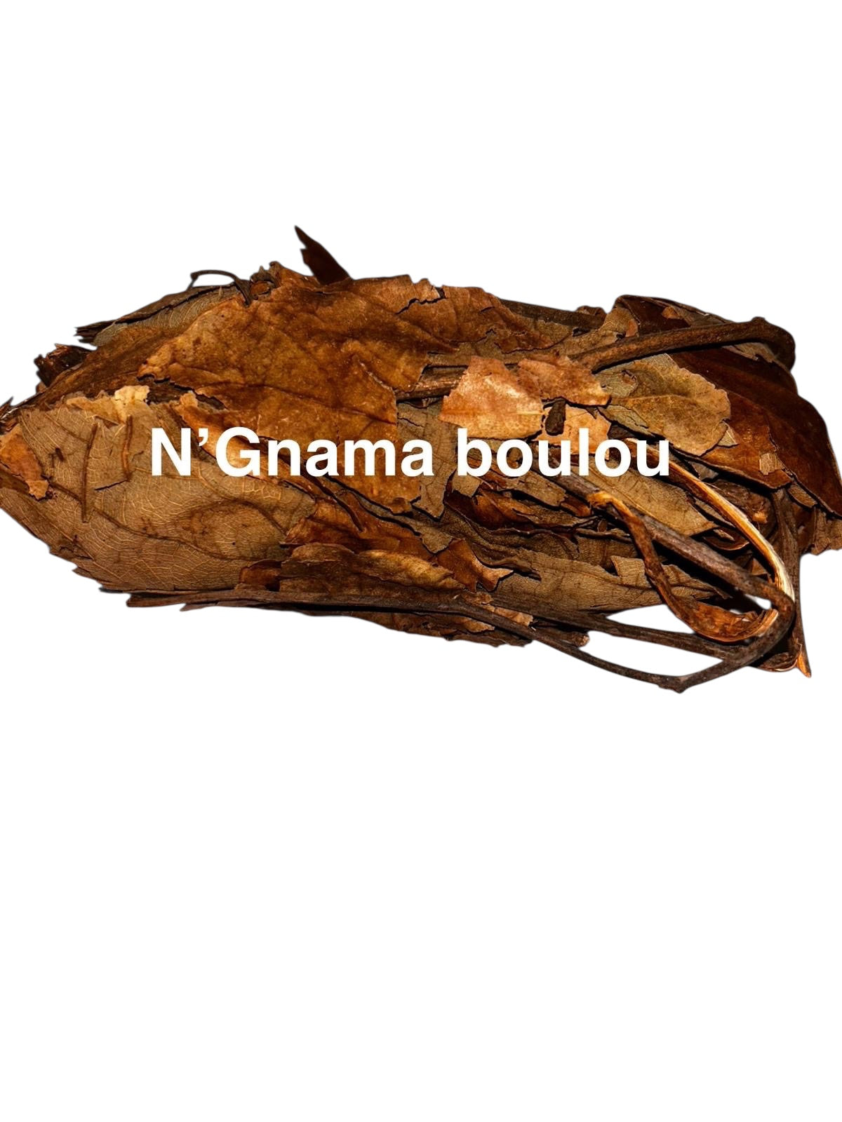 Plante Ngama boulou 7