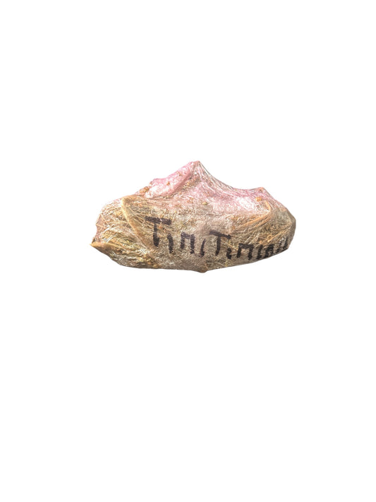 Plante Feuille de Timitimini 63