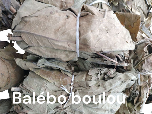 Plante de Balebo