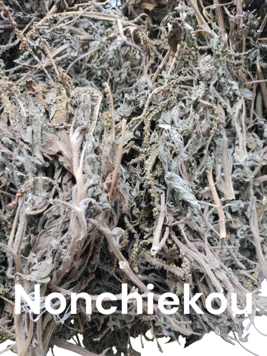 Plante de Nonchiekou