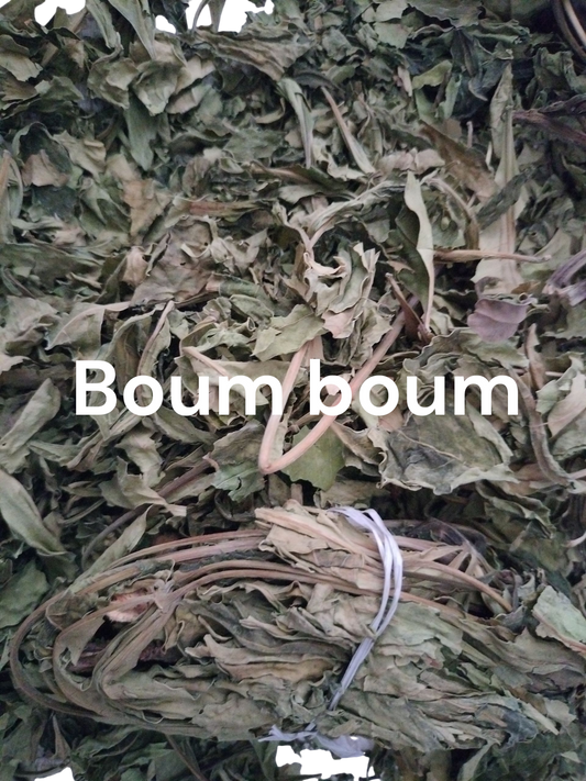 Plante de Boum boum