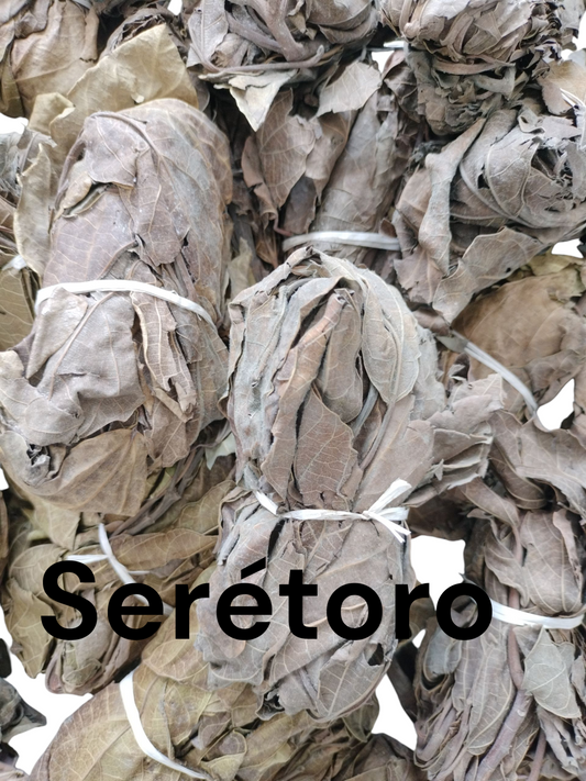 Plante sérétoro