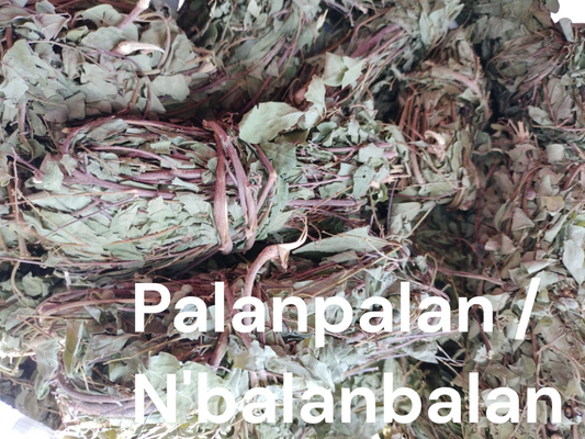 Plante Panlanpalan 88